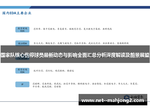 国家队核心伤停球员最新动态与影响全面汇总分析深度解读及前景展望